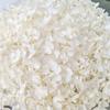Anna Hydrangea Hydrangea Hydrangea Flor eterna flutuante Flor seca Decoração para casa Fábrica de Yunnan Atacado Frete grátis