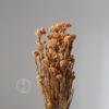 Flores de Mijo Conservadas Blancas, Flores de Mijo Secas, Venta al por Mayor desde Fabricante, Materiales para Uñas Hechas a Mano DIY