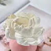 Buquê DIY personalizado de peônia aromaterapia flores secas feitas à mão tingimento perfurável flores expansíveis de aromaterapia