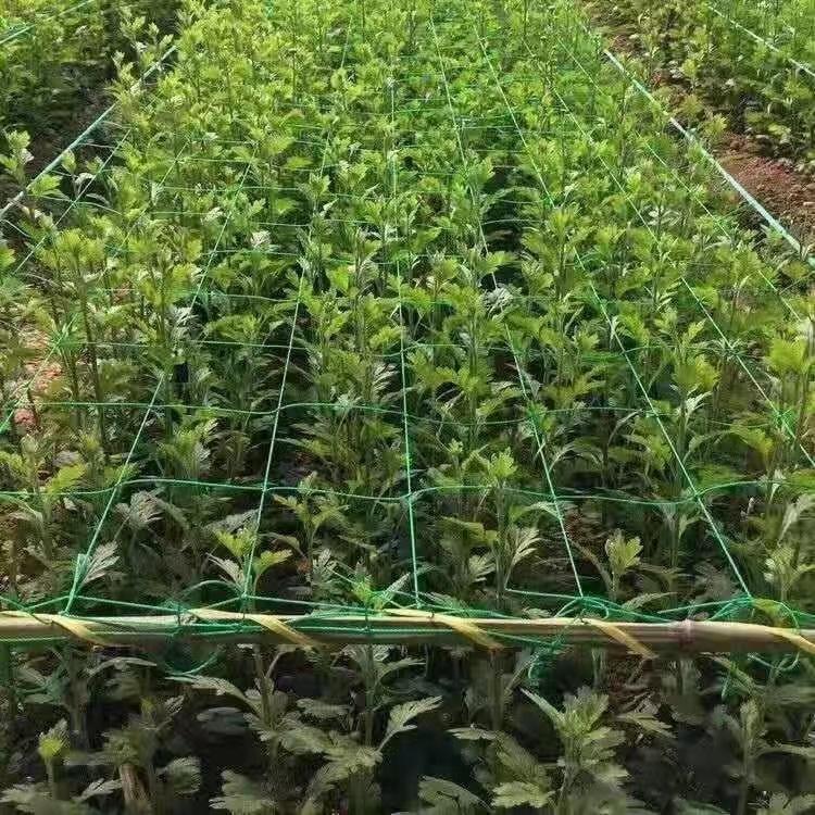 微信图片_20221102213340