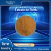 Extrato de Angelica dahurica 20:1 pó de cevada branca solúvel em água para manchas existem muitas especificações de imperatorina Extrato de Angelica dahurica