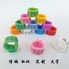 Anillo para Palomas Mensajeras, Anillo de Pie de Aluminio Coloreado con Forma de Lingote de Ocho Pliegues, Anillo Electrónico Privado Abierto con Texto