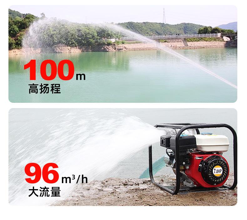 柴油机水泵描述_05