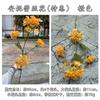 Fabricante de Flores Artificiais Laranja Pôr do Sol, Laranja Vermelho Pôr do Sol Arco para Corredor de Casamento com Tema de Outono Decoração Suave Flores Artificiais Atacado