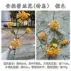 Atmosfera de outono cor caramelo laranja-amarelo flores artificiais casa hotel casamento decoração suave arranjo de flores flores de mesa atacado