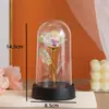 Flor Eterna Cubierta de Vidrio Rosa con Lámina de Oro Luz Nocturna Luminosa Tanabata Día de San Valentín Adornos de Regalo Creativos Suministro Transfronterizo