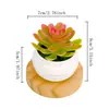 Plantas suculentas artificiales, plantas verdes artificiales pequeñas, flores artificiales transfronterizas, decoración del hogar, adornos de escritorio, plantas de plástico, flores artificiales