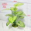 Juego de 12 piezas de vegetación artificial de Amazon con hojas de taro, hojas de sandía y plantas perennes para decoración de pared, alta simulación