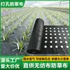 Lona Anti-Mato Perfurada Personalizada de Fábrica para Cultivo de Mudas Agrícolas, Lona Anti-Mato Perfurada em Rolo Inteiro, Lona Anti-Mato para Jardins de Flores e Pomares