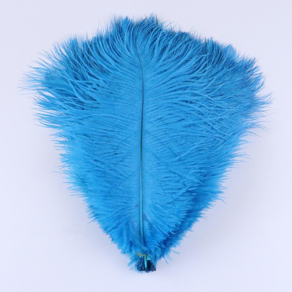 TS0104006 25-30cm lake blue os