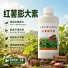Agente de control de crecimiento de camote rojo verano anti-agrietamiento agente de agrandamiento de raíz y tallo papa camote aumento de rendimiento fertilizante foliar al por mayor