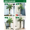 Grande Palmeira Areca Simulada Planta Tropical Coqueiro Planta Verde Biônica de Interior Árvore Falsa Atmosfera Paisagismo Ornamentos em Vaso
