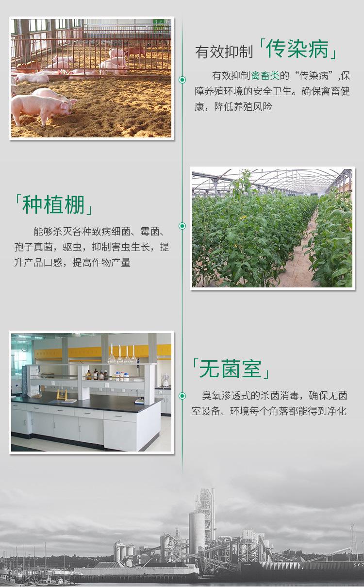 陶瓷片臭氧发生器