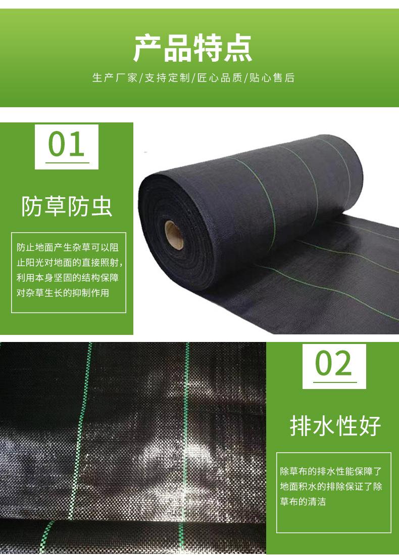 聊城绿色--(11)_05