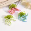 Acessórios de joias com franjas de contas de alto senso, estilo nicho para primavera e verão, brincos brincos acessórios decorativos diy atacado