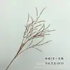 Flores Artificiales de Bronce Cubo de Bendición de Año Nuevo Arreglo Floral Adornos de Navidad Hojas de Dinero Hojas de Abanico Plateado Decoración Floral para Salón de Bodas