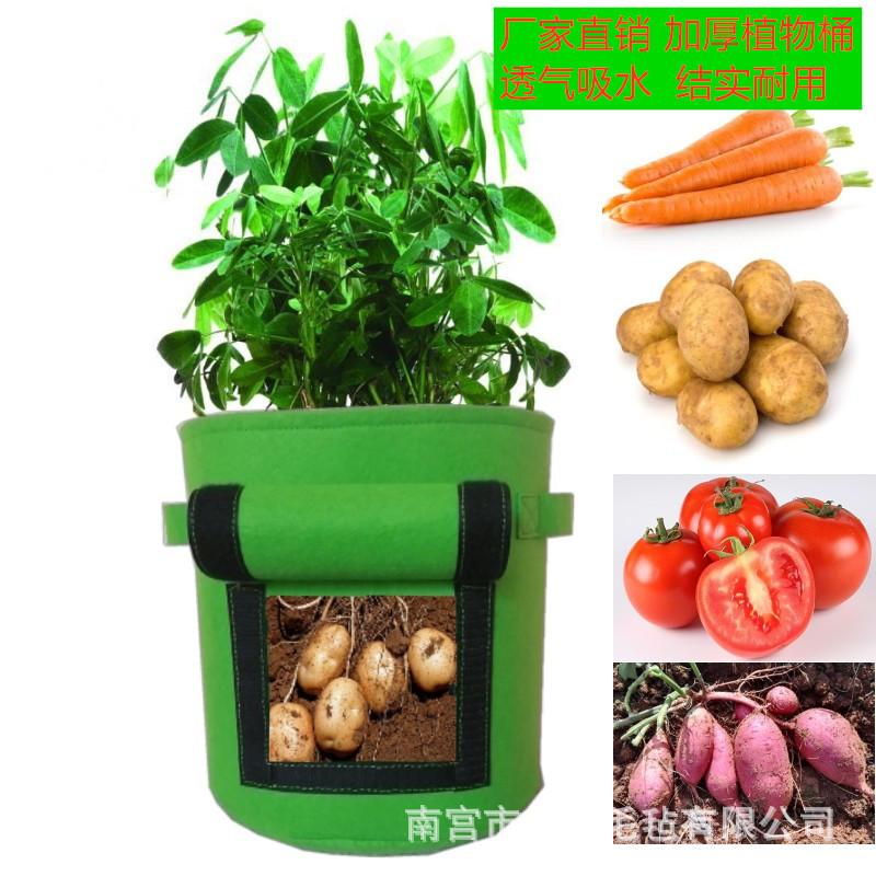 微信图片_20200518220549