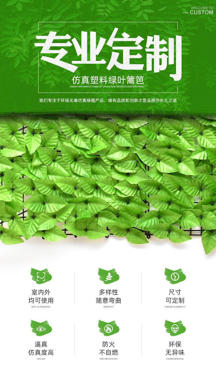 详情1.jpg