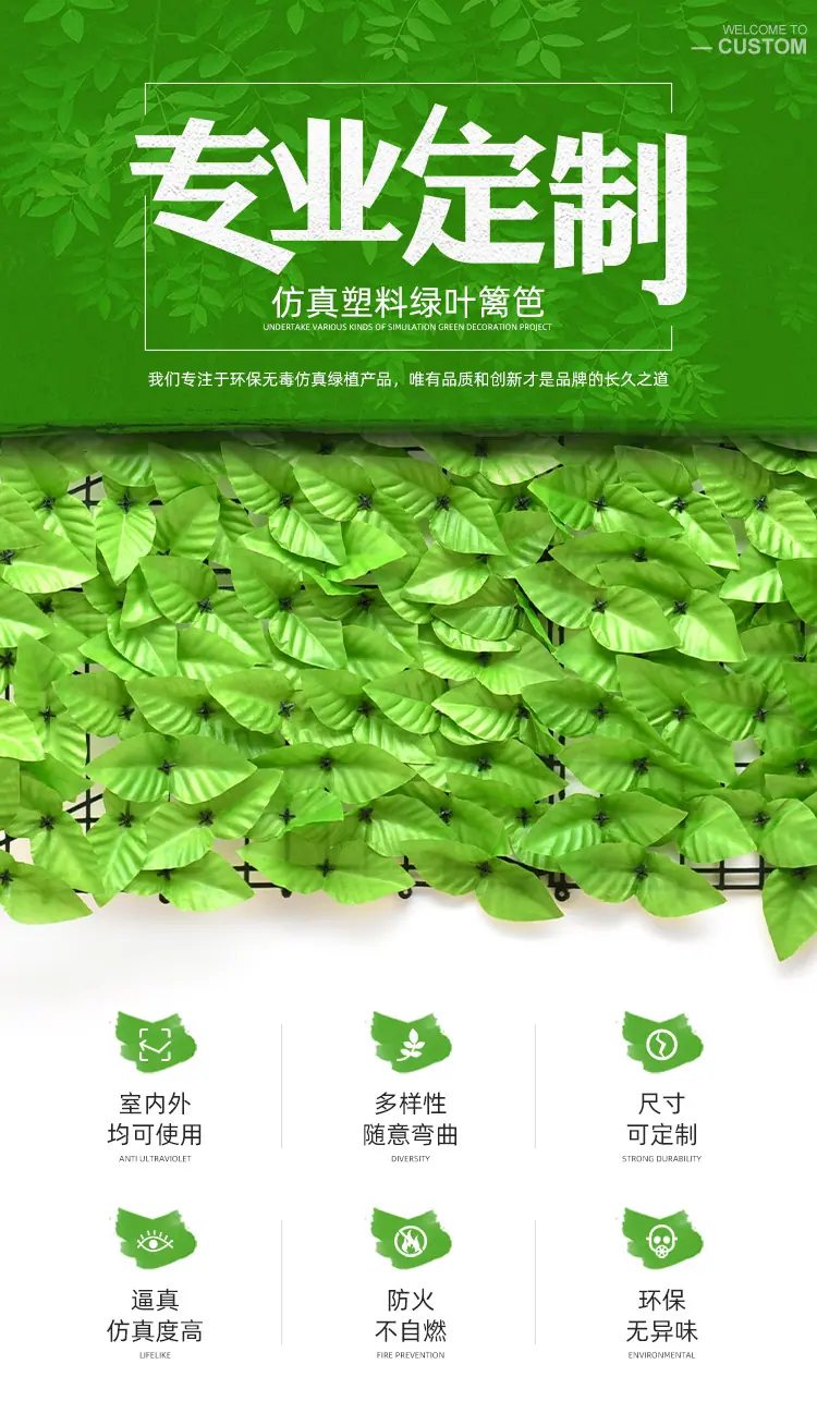 详情1.jpg