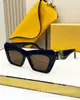 LOE Gafas de Sol Clásicas de Moda Ojo de Gato Placa de Alta Calidad Transfronterizas Luz de Lujo Anti-ultravioleta para Mujer LW40036I