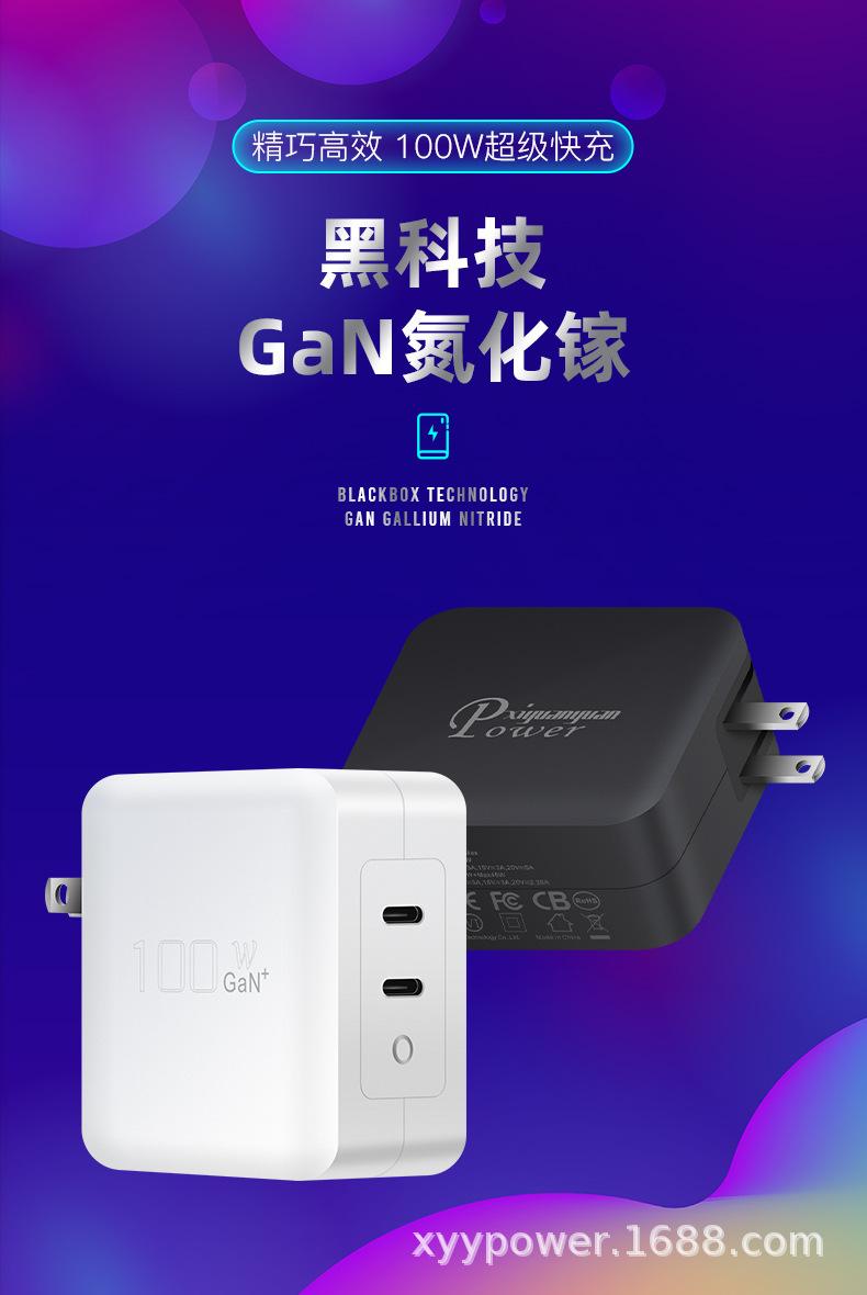 PD100W氮化镓C+C美规