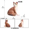 Traje de modelo de gato animal de simulación para niños, juego de gato, gatito, modelo de gatito blanco y negro, juguetes, adornos