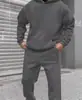 Em Estoque 2025 Europeu e Americano Transfronteiriço Outono e Inverno Novo Conjunto de Moletom Fashion de Lã Casual Solto com Capuz de Manga Comprida Atacado