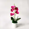 Vaso Autoadesivo com 5 Flores Artificiais, Orquídea Phalaenopsis, Planta de Vaso Internacional, Adereço para Fotografia de Casamento, Textura de Filme, Vaso de Flores Falsas