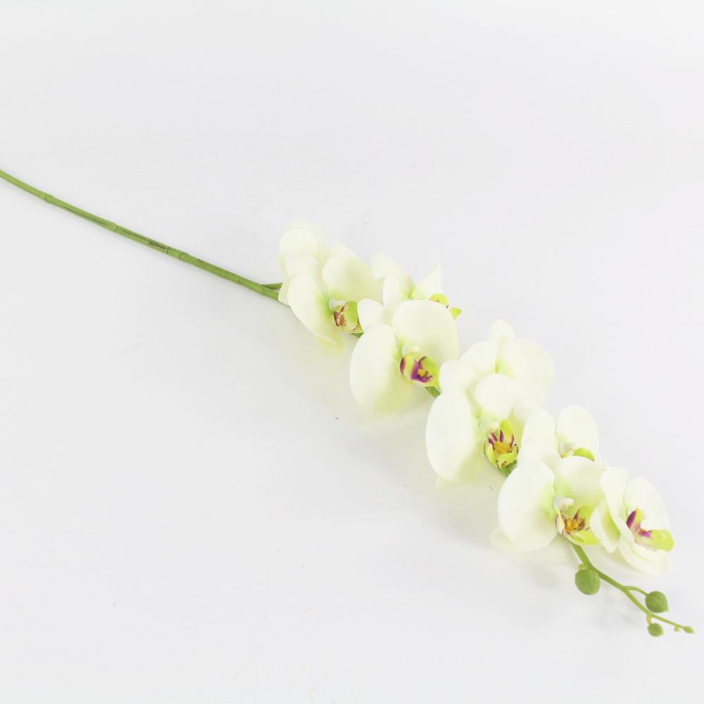 12742524112_717949217