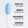 Cepillo de dientes Shu Chen cerdas suaves cepillo de dientes de alta calidad limpieza dental doméstica eliminación de manchas cepillo suave de alta densidad seda pelo fino venta al por mayor