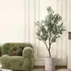 Planta de olivo en maceta para sala de estar interior, esquejes reales, planta grande en maceta, fácil de cuidar, adecuada para inauguración de casa y mudanza