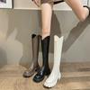 Botas de Invierno para Mujeres Bajitas, Botas Delgadas de Boca en V Forradas de Felpa, Botas de Caballero Delgadas de Tacón Alto, Botas de Suela Gruesa con Aumento Interno de Altura