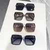 Óculos de Sol Retro Tendência 2025 Versátil Feminino Proteção UV