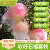 Bolsa de Fruta de Jade Blanco Transpirable a Prueba de Insectos Dulces Bolsa de Película Delgada con Orejas para Drenaje Bolsa Especial para Granada de Semilla Suave Blanca