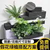 Escenario de Exhibición de Ventana Pieris Japonica Simulada Planta Interior de Gama Alta Arce Japonés Biomorfo Planta Verde Decoración Árbol Artificial Grande Paisaje