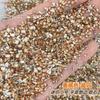 Popular en Internet Arte de Uñas Mini Tamaño Pequeño Fondo Puntiagudo Taladro con Forma de Zircón Súper Brillante Mini Blanco Micro Zirconio Decoración de Uñas