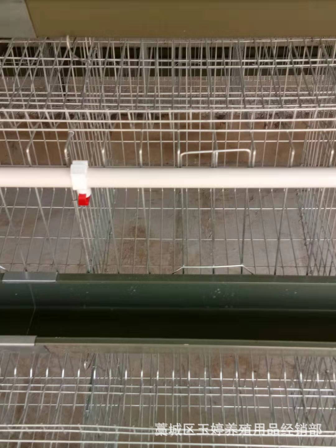 鸡笼6