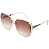 Gafas de Sol de Moda Populares de Douyin para Mujer, Gafas Pequeñas de Moda que Resaltan el Rostro, Protección Solar y Protección UV, Fotografía Callejera, Gafas de Marco Grande de Celebridad de Internet