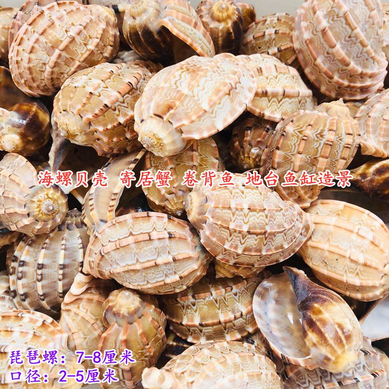 QQ图片20210928121935.jpg