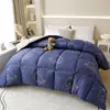 Atacado do Fabricante Colcha Grossa Quente de Inverno para Dormitório de Estudante Solteiro, Núcleo de Colcha Dupla, Roupa de Cama, Colcha de Penas e Seda para Quatro Estações