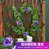 Enredaderas de rosas artificiales para decoración de techos interiores, flores falsas de plástico para arcos de boda, escaparates, áreas escénicas y paisajismo exterior.