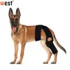 Rodilleras para Perro Cubierta Protectora para Lesiones Equipo Protector Fijo para Fractura de Pata de Perro Cinturón Auxiliar con Soporte para Pata Delantera y Trasera de Mascota