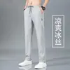 Pantalones Deportivos Sueltos de Verano para Hombre, Pantalones Casuales Simples de Secado Rápido, Pantalones Largos Modernos Delgados de Seda de Hielo