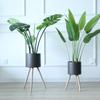 Sala de Estar Interna Metal Simples Arte em Ferro Prateleira de Armazenamento Doméstico Mobiliário para Casa Suporte para Flores Vaso de Flores Recipiente Decorativo Bonsai
