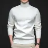 Tejidos de punto de alta gama para primavera y otoño para hombre 2025 Nuevos tejidos de punto cálidos con cuello alto casual, suaves y amigables con la piel, forrados de felpa para hombre