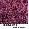 Lombriz biónica lombriz roja biónica gusano de pan de maíz cebo para pesca de carpa cruciana carpa carpa herbívora fábrica de cebo venta al por mayor