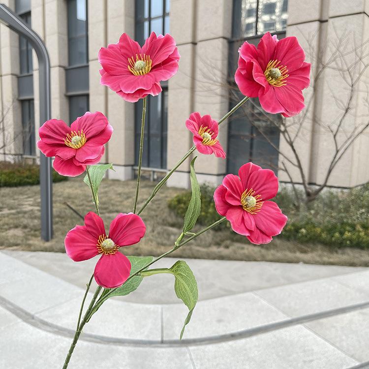 6头单支蝴蝶花-sxljlx-玫红.JPG