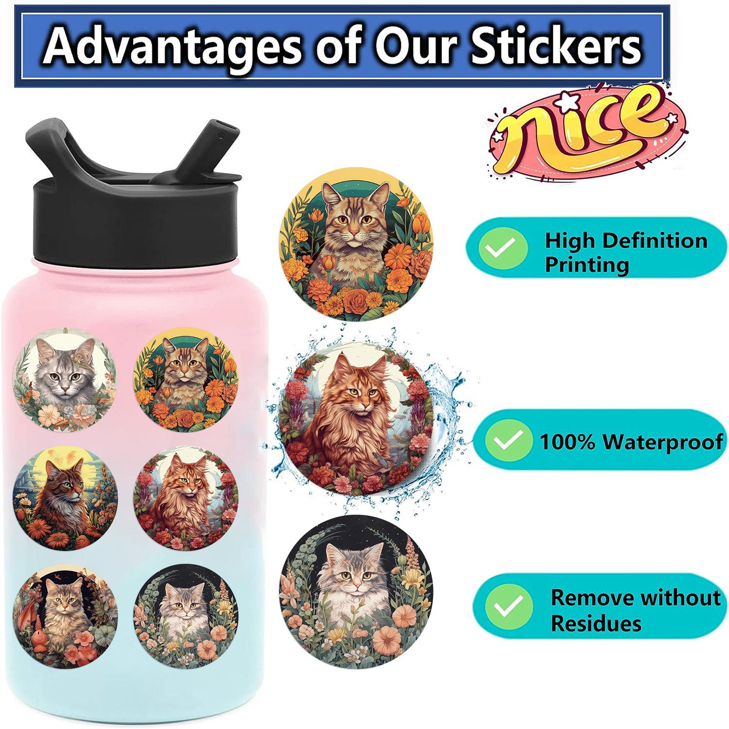 00c09231d7d1d3a77bf53a4b804d7a