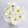 Flores Decorativas de Frangipani Africano Sintético Pu para Mesa de Sala de Estar, Arreglo Floral, Paisajismo de Hotel, Fotografía, Temu Transfronterizo