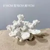 LPS Acuario de Agua Salada Paisaje de Arco Piedra Cerámica Porosa Alta Piedra Muerta Tanque de Peces Cueva de Paisaje Base de Cría de Coral